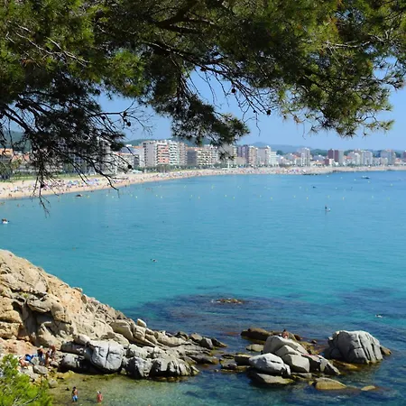 Puig Ses Forques 2 *